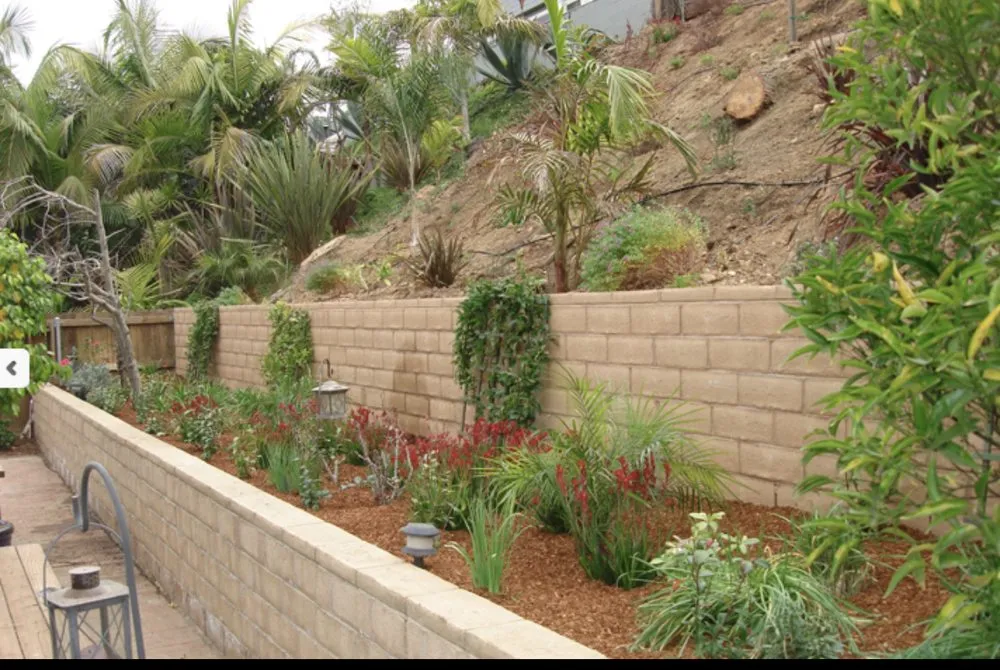 Top-rated yard cleanup service experts serving Grand Terrace, CA - V Landscaping and Maintenance