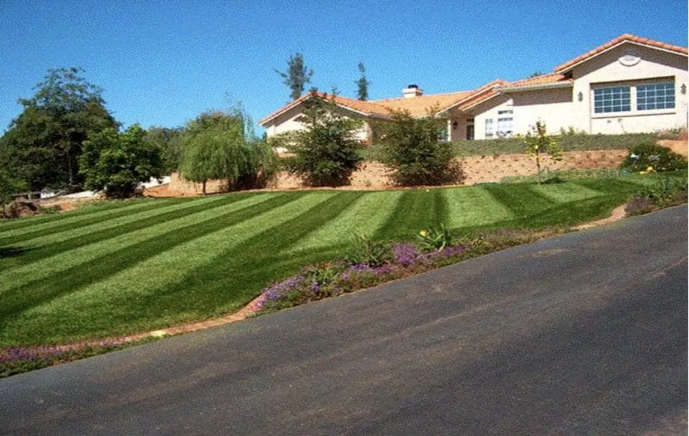 Local lawn care service in Grand Terrace, CA by V Landscaping and Maintenance