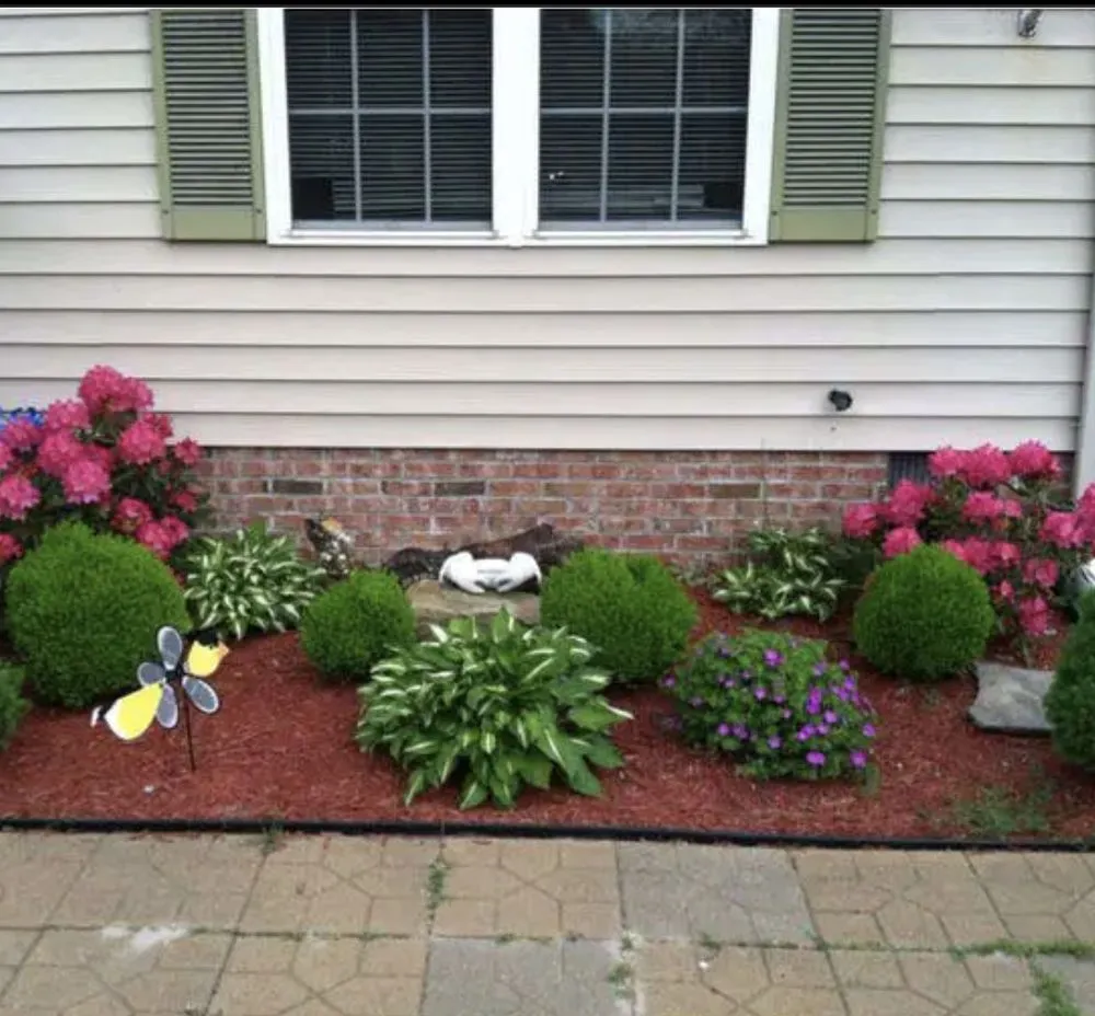 Trusted garden landscaping for year-round maintenance across Grand Terrace, CA - V Landscaping and Maintenance