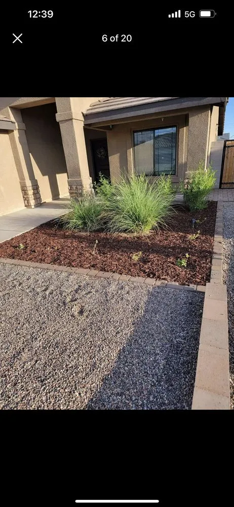 Professional yard cleanup service in Grand Terrace, CA by V Landscaping and Maintenance