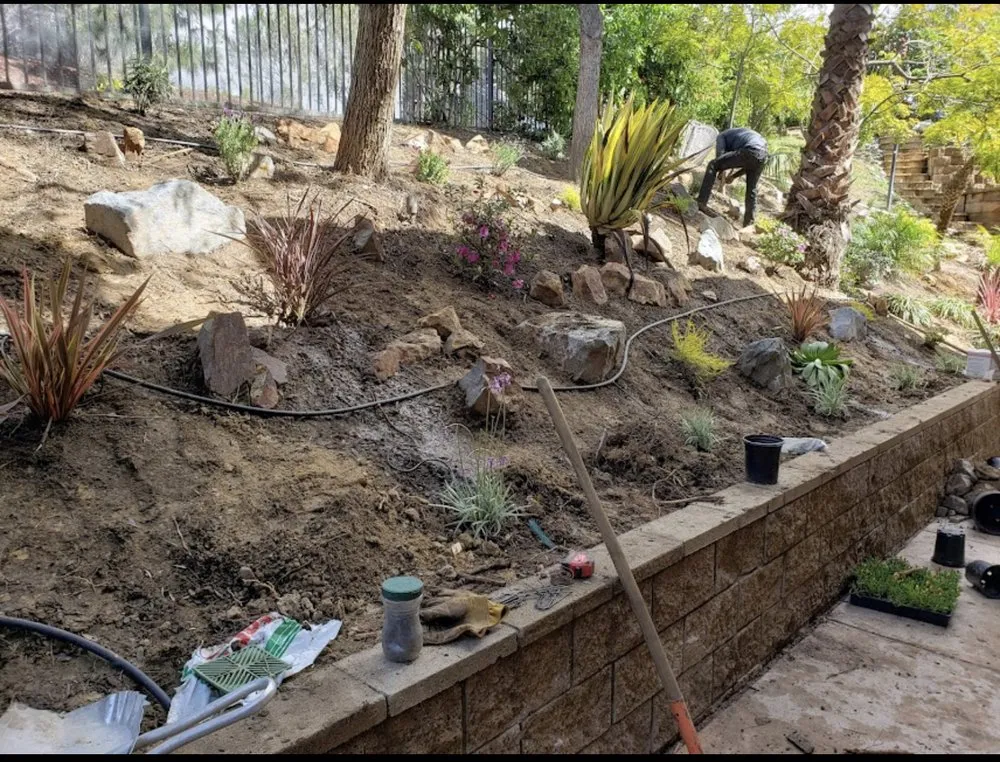 Top-rated lawn mowing service for homes in Grand Terrace, CA by V Landscaping and Maintenance