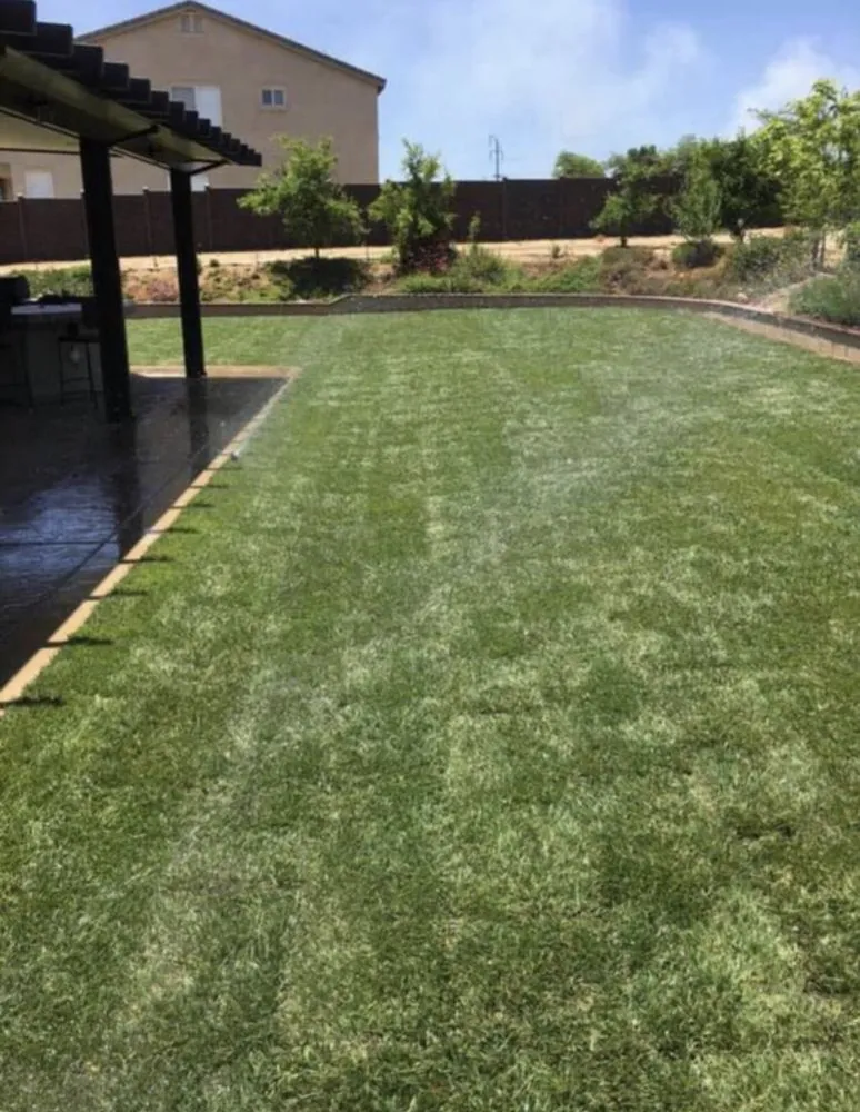 Custom landscape installation experts serving Grand Terrace, CA - V Landscaping and Maintenance