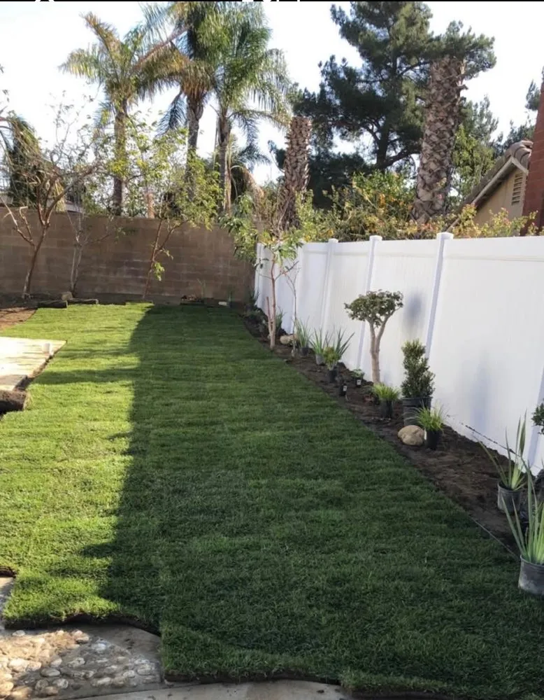 Expert landscaping services in Rialto, CA by V Landscaping and Maintenance