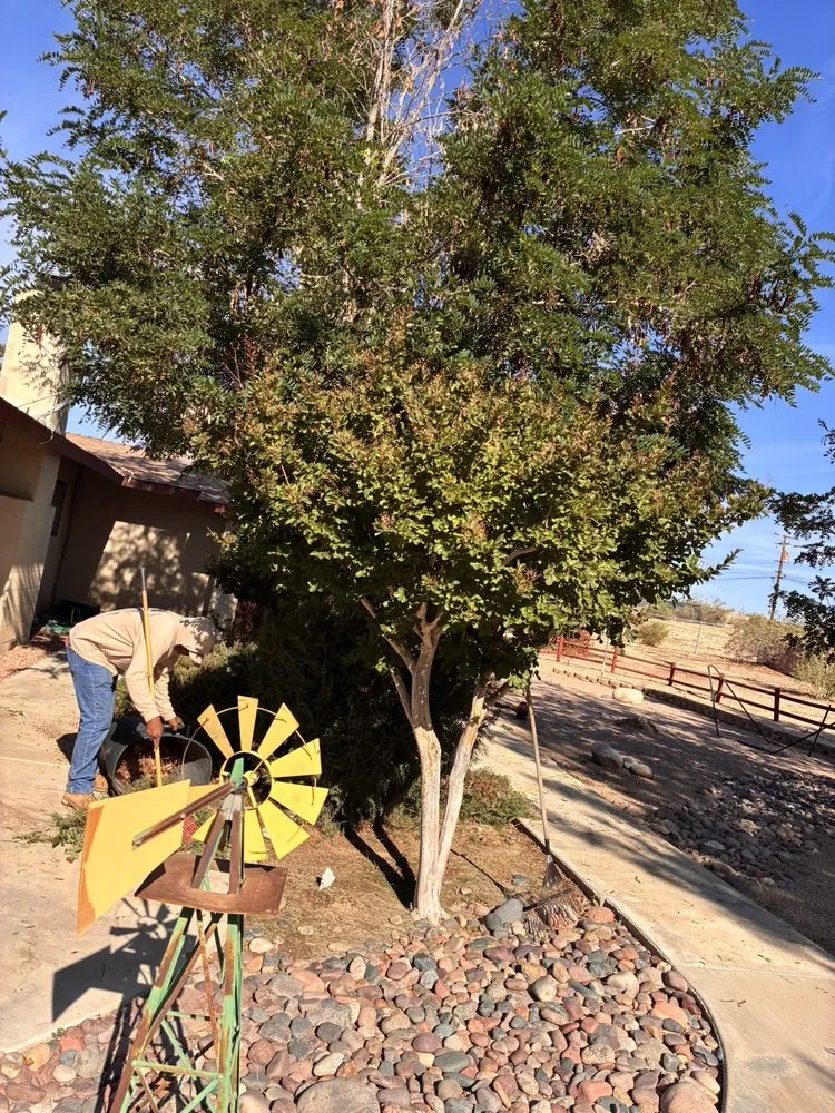 Trusted landscaping services in Highland, CA by V Landscaping