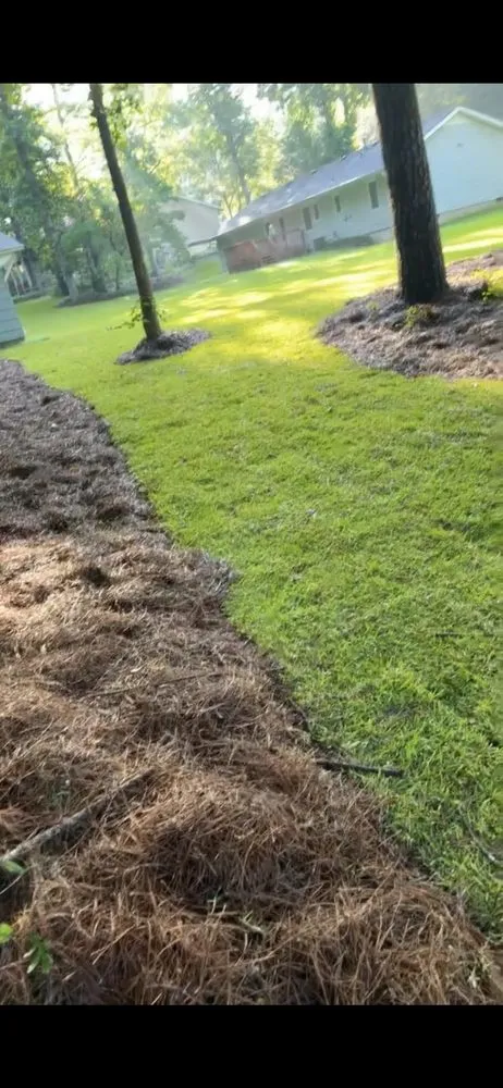 Custom lawn mowing service for year-round maintenance in Winder, GA by V Lawn Services