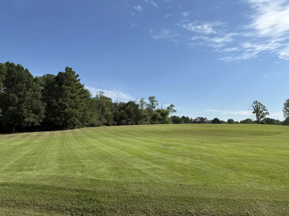 Local residential landscaping for year-round maintenance in Flowood, MS by V Line Commercial Cuts