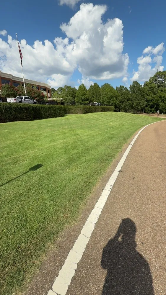 Professional yard cleanup service experts serving Flowood, MS - V Line Commercial Cuts