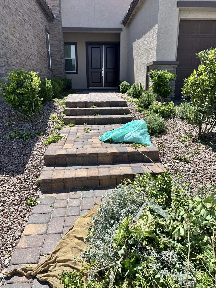 Local landscape installation in North Las Vegas, NV by V M