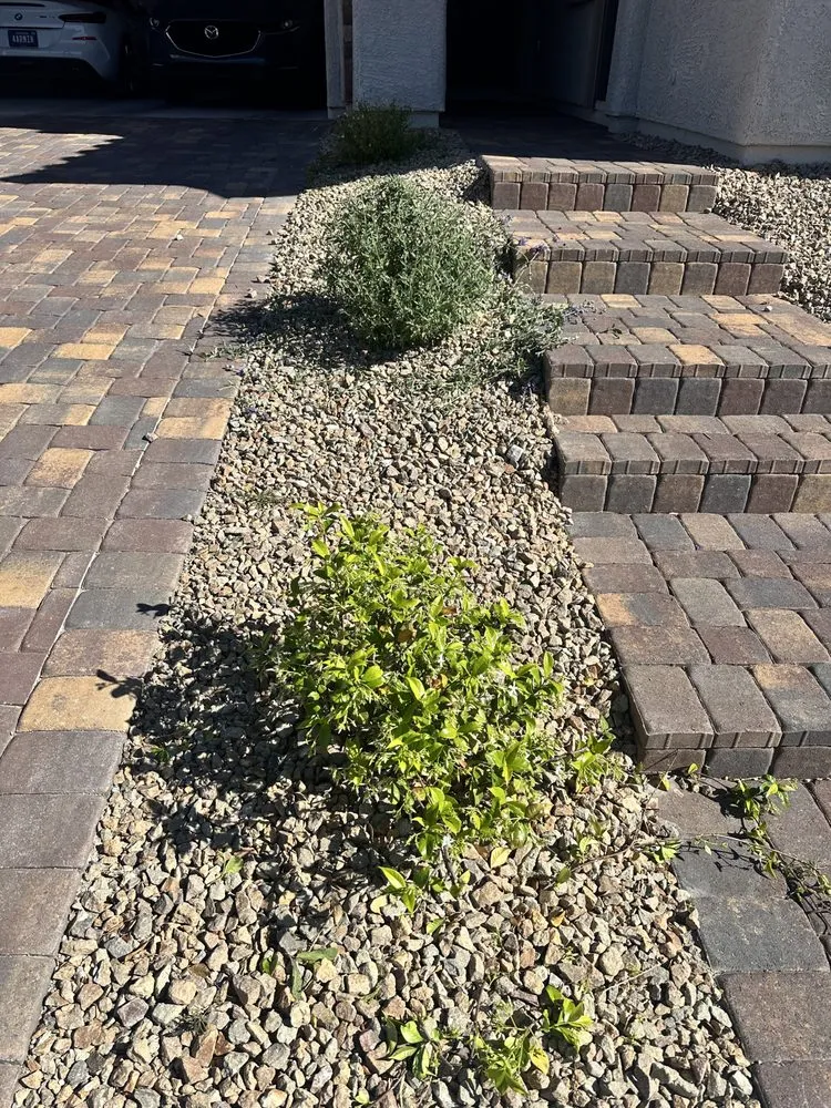 Trusted outdoor landscaping for outdoor upgrades across North Las Vegas, NV - V M