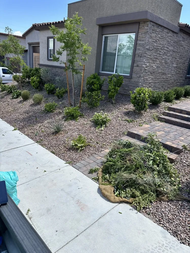Trusted landscaping services in North Las Vegas, NV - V M