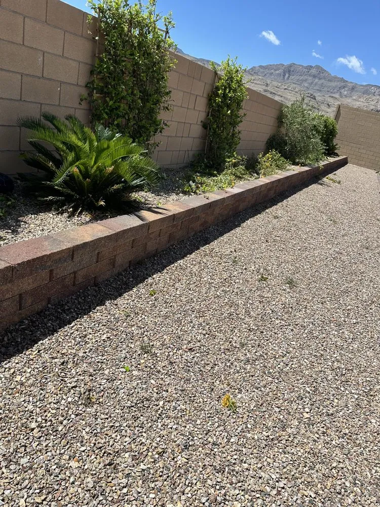 Local yard cleanup service in North Las Vegas, NV by V M
