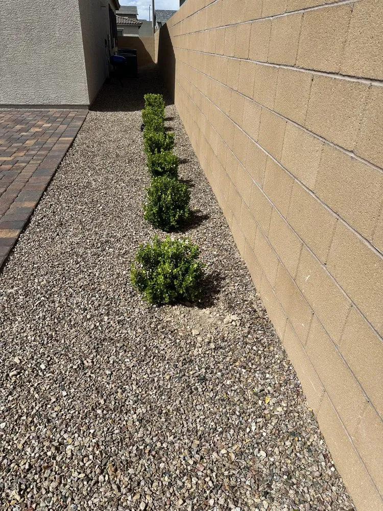 Professional garden landscaping experts serving North Las Vegas, NV - V M