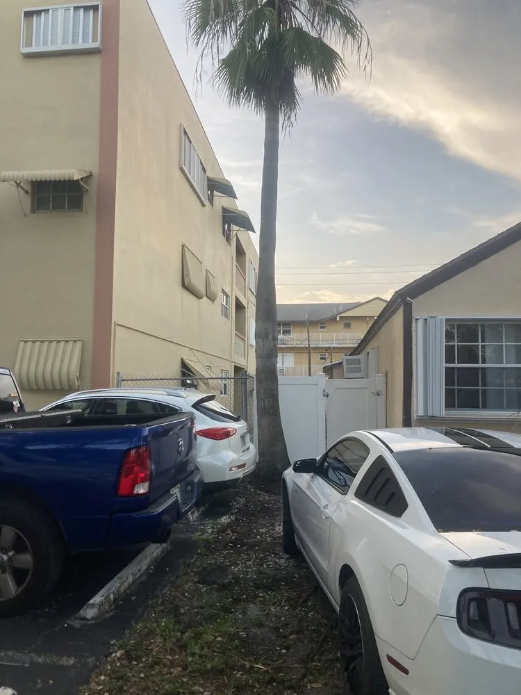 Custom landscape installation with custom design in Fort Lauderdale, FL by V Maintenance Landscaping Professional