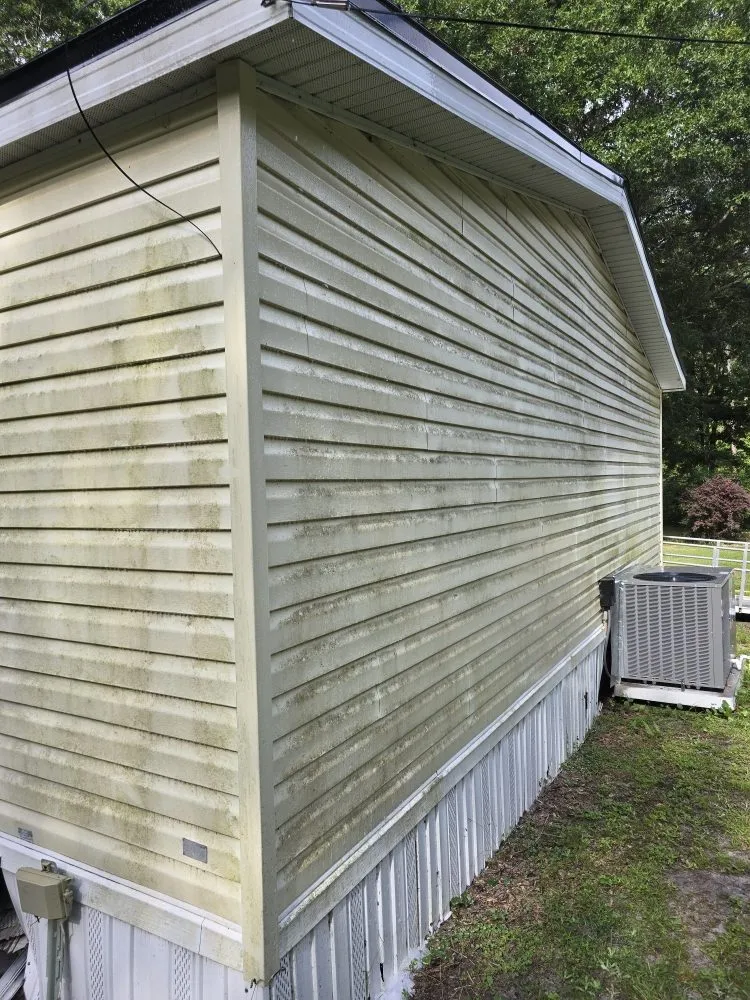 Expert yard cleanup service in Middleburg, FL by V Man Services