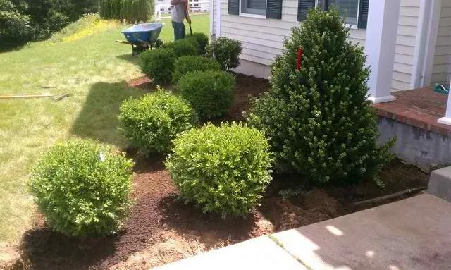 Trusted residential landscaping in Marlborough, MA by V Pitol Landscaping