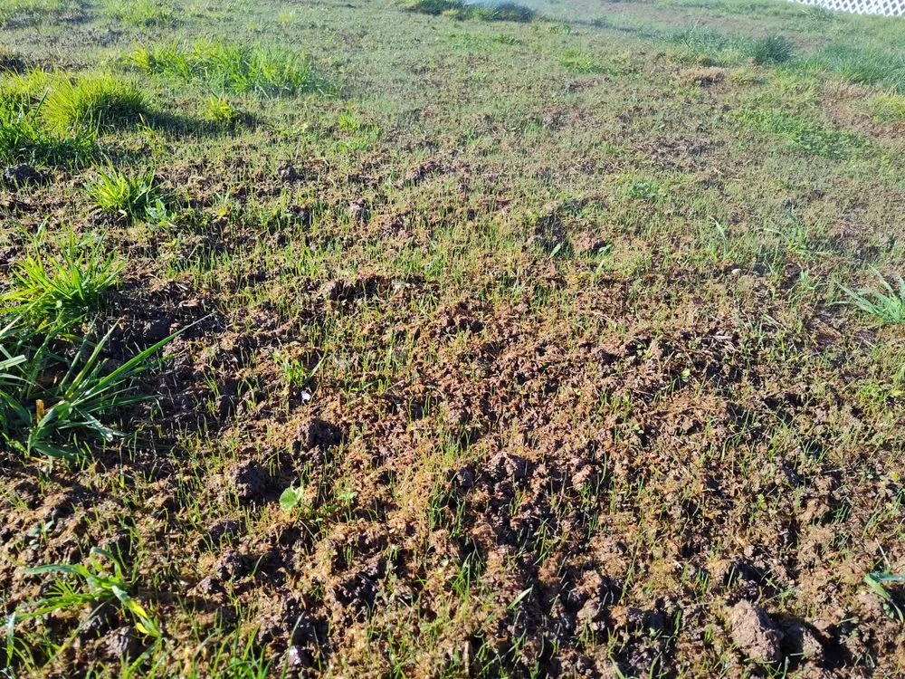 Local lawn care service for residential properties across Enoch, UT - V-Real Pressure Wash & Lawn Care