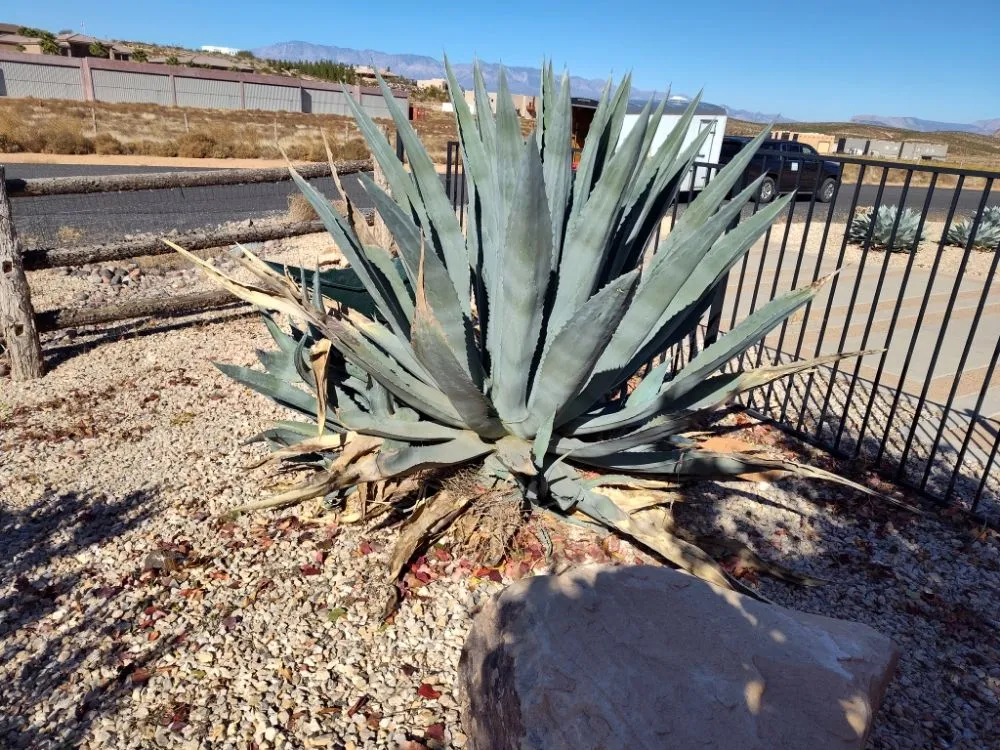 Trusted landscape installation experts serving Enoch, UT - V-Real Pressure Wash & Lawn Care