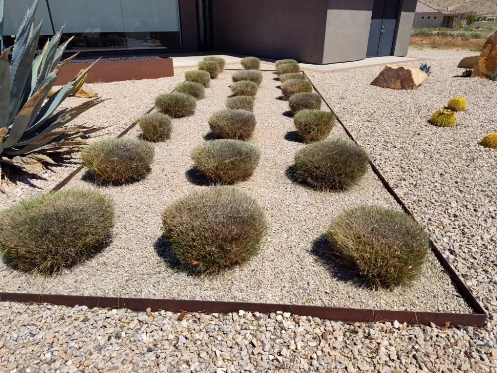 Professional yard cleanup service near you across Enoch, UT - V-Real Pressure Wash & Lawn Care