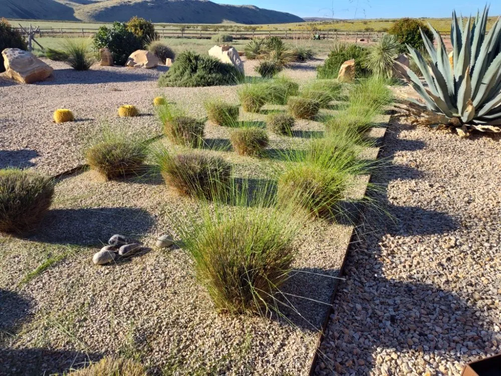 Trusted landscaping services for outdoor upgrades across Enoch, UT - V-Real Pressure Wash & Lawn Care