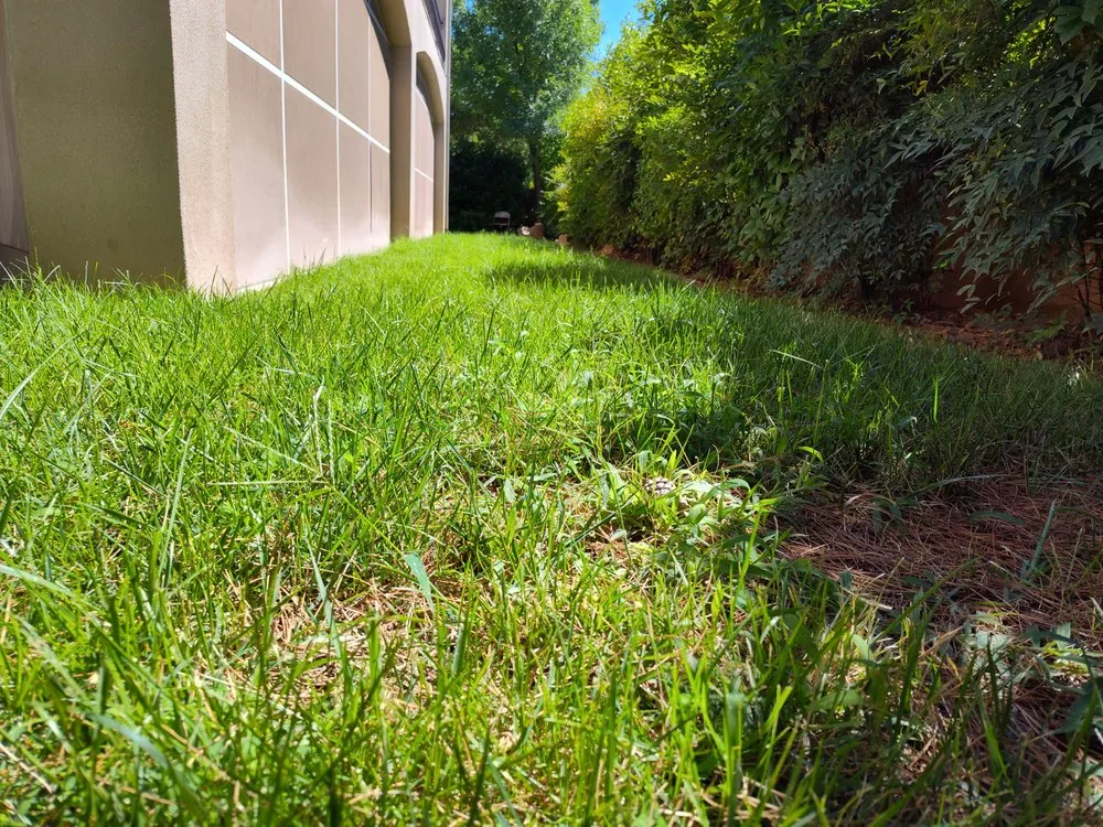 Professional landscape design experts serving Enoch, UT - V-Real Pressure Wash & Lawn Care