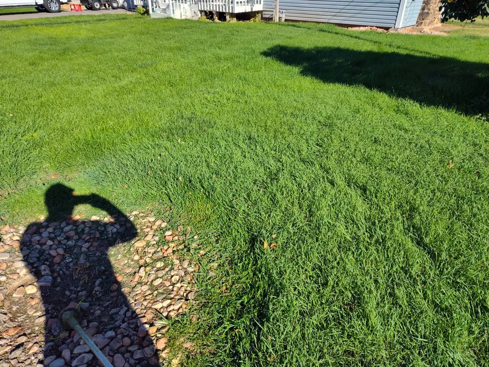 Local yard cleanup service in Enoch, UT by V-Real Pressure Wash & Lawn Care