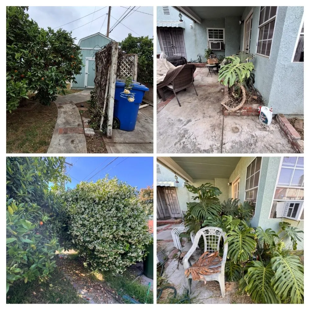 Expert landscape design experts serving Perris, CA - V V Greenland