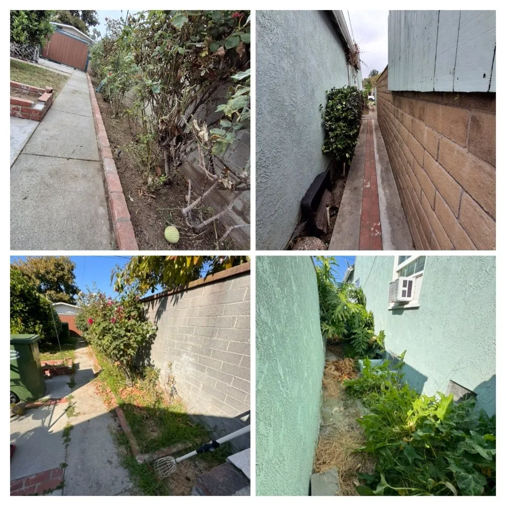 Custom landscape installation near you in Perris, CA by V V Greenland