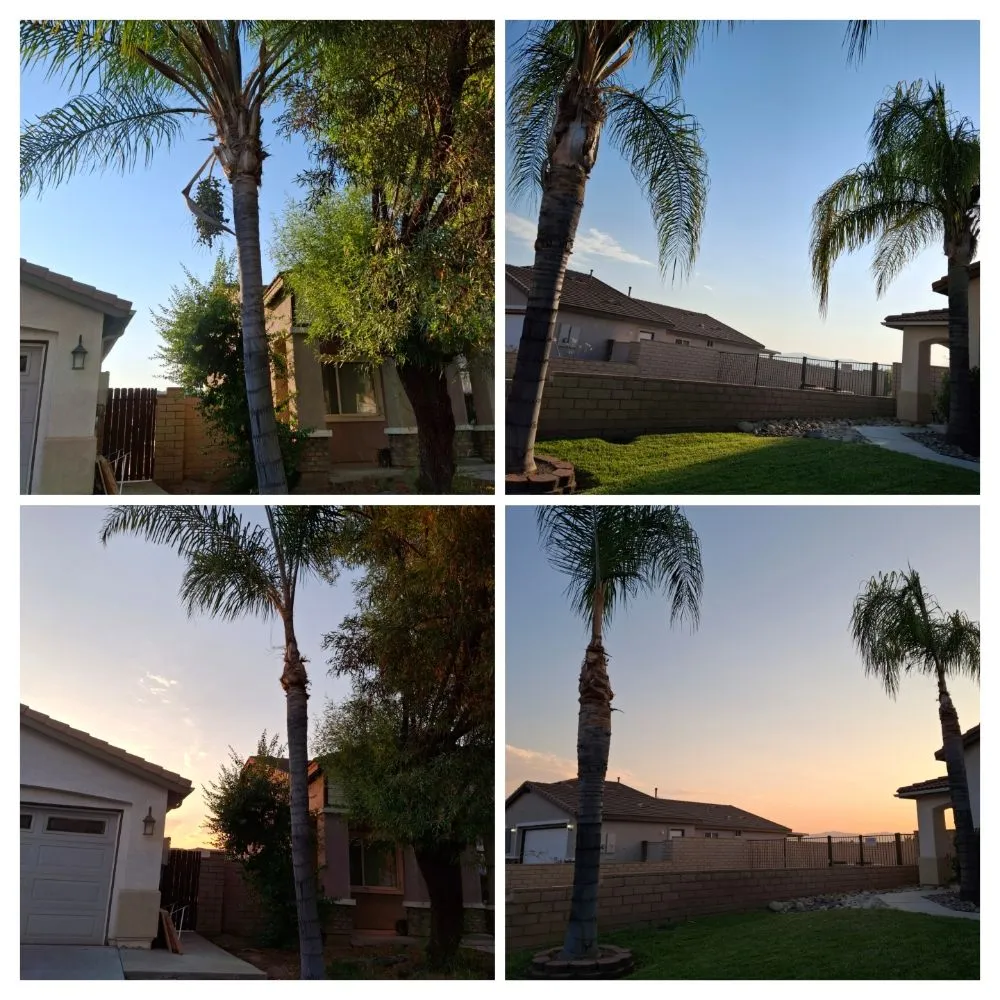 Professional landscaping services in Perris, CA - V V Greenland