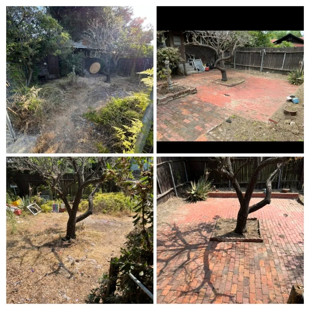 Local outdoor landscaping for beautiful yards in Perris, CA by V V Greenland