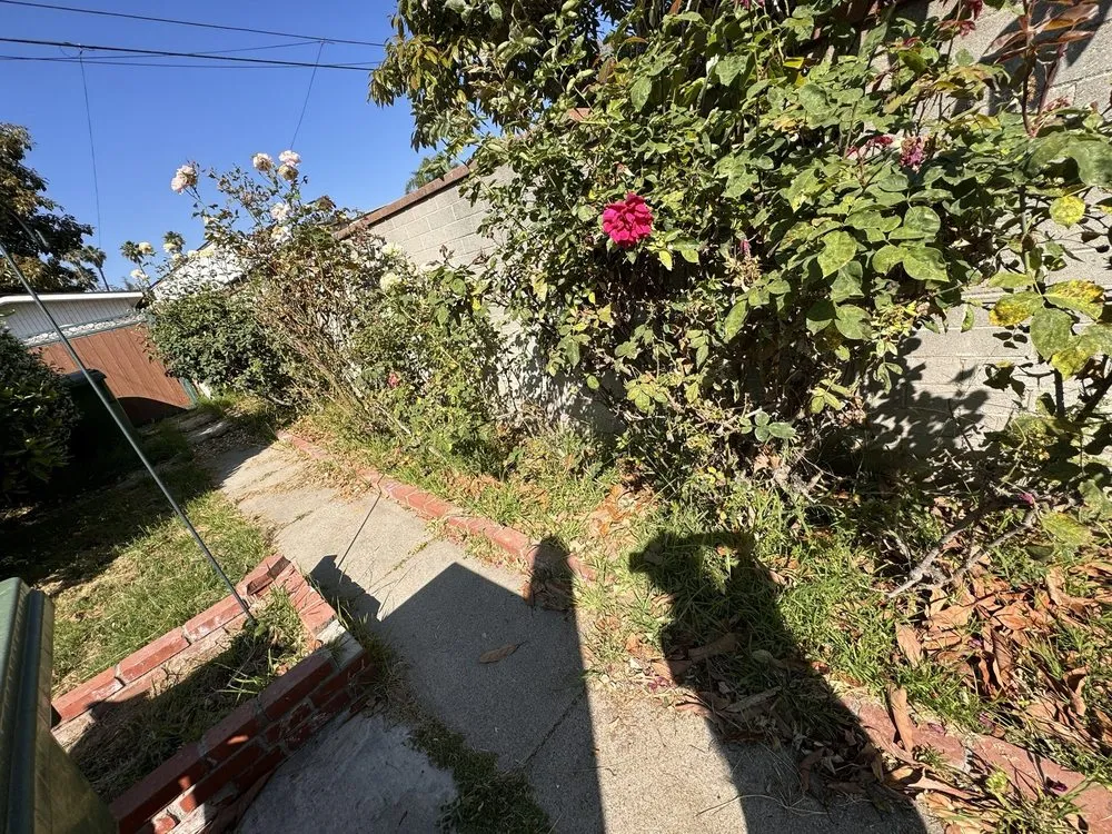 Custom garden landscaping for year-round maintenance in Perris, CA by V V Greenland