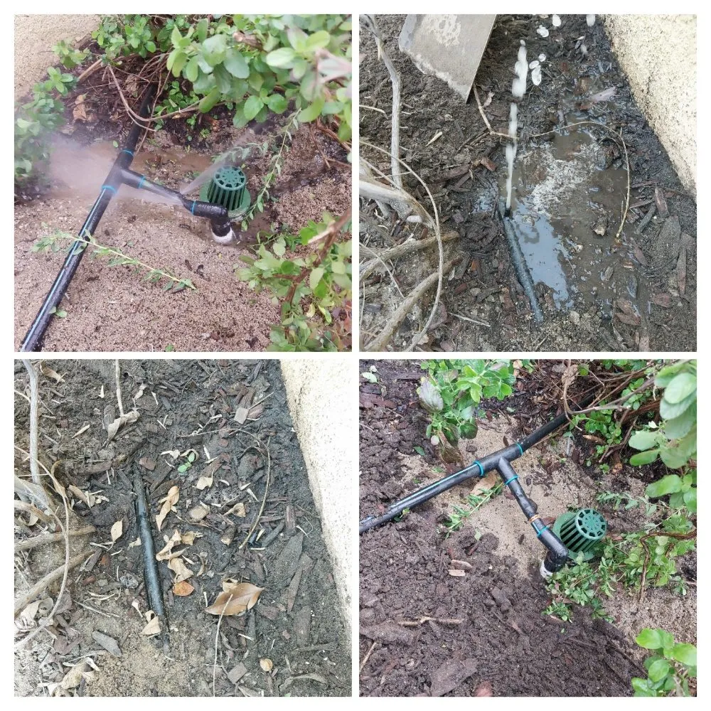 Expert garden landscaping for residential properties across Perris, CA - V V Greenland