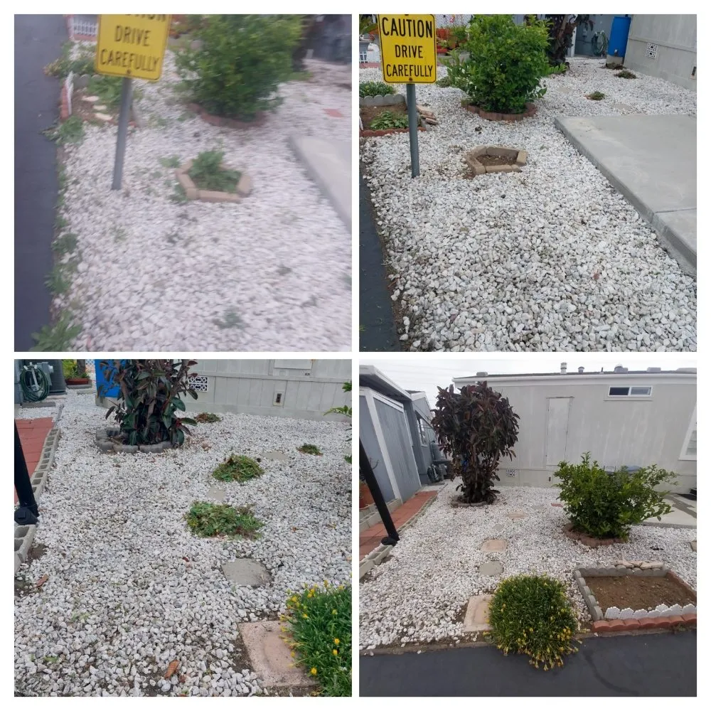 Expert landscaping services in Perris, CA - V V Greenland