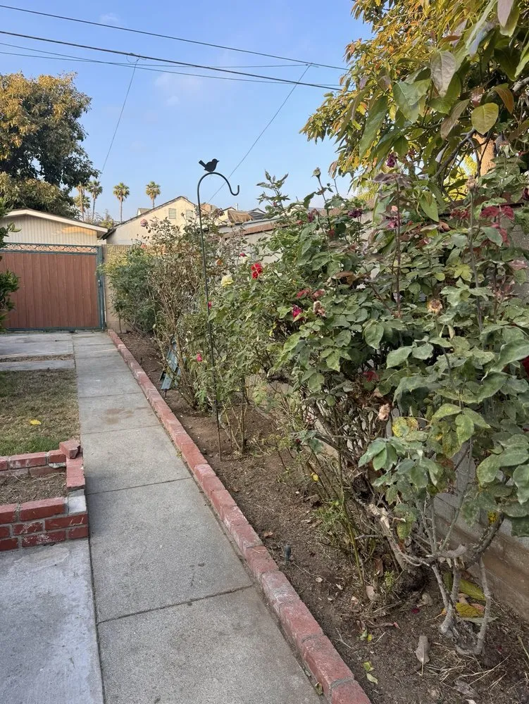 Affordable yard cleanup service with custom design in Perris, CA by V V Greenland