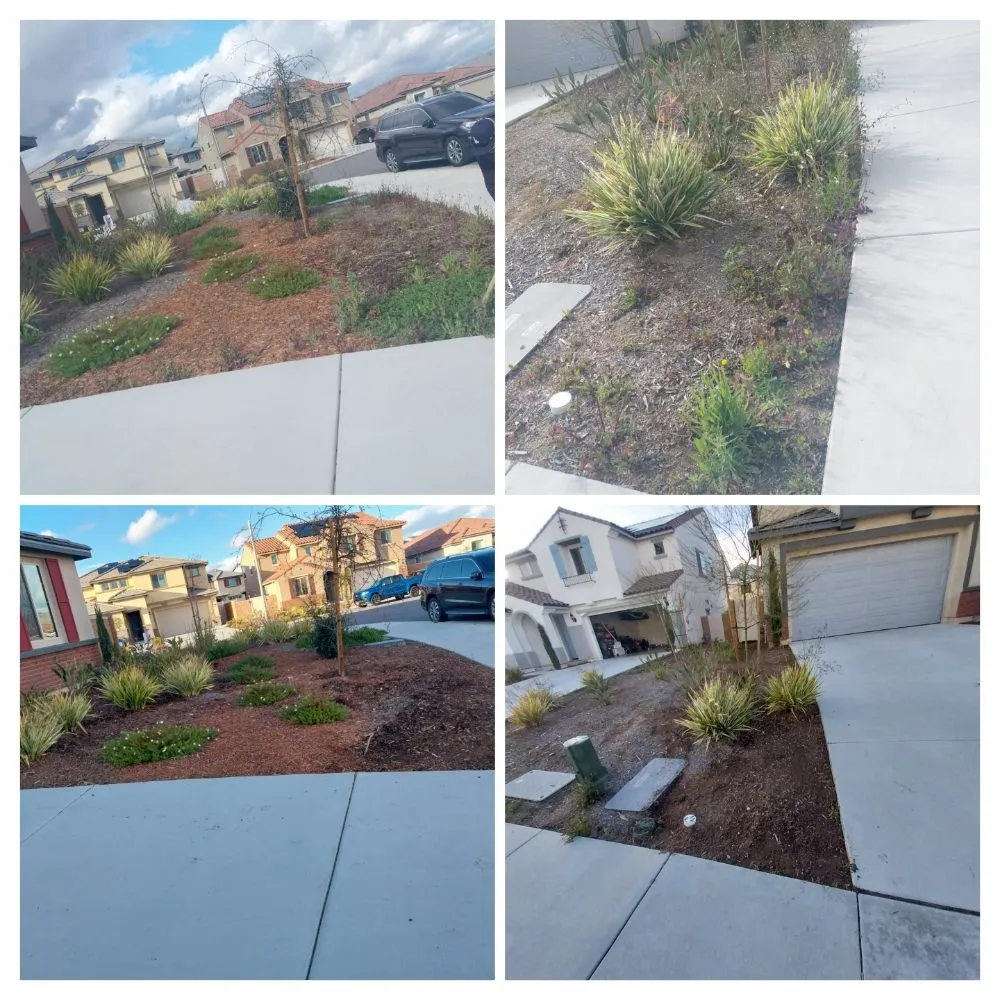 Affordable yard maintenance for outdoor upgrades in Perris, CA by V V Greenland