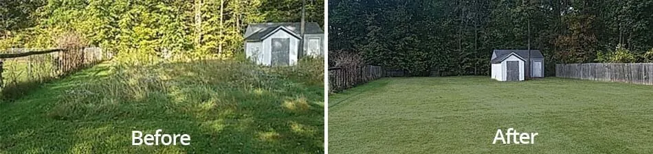 Affordable yard cleanup service for beautiful yards across Lowgap, NC - Va Carolina Lawncare