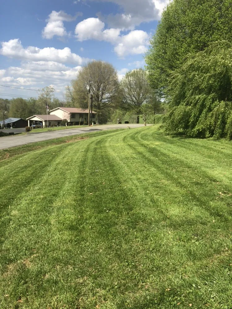 Expert yard maintenance experts serving Lowgap, NC - Va Carolina Lawncare