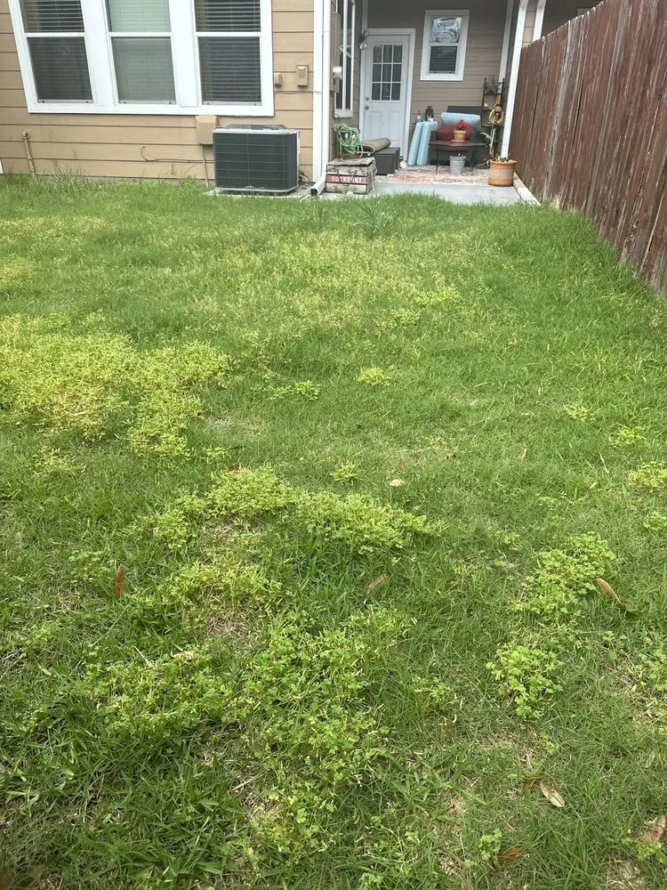 Expert landscape design experts serving Houston, TX - VA Landscape