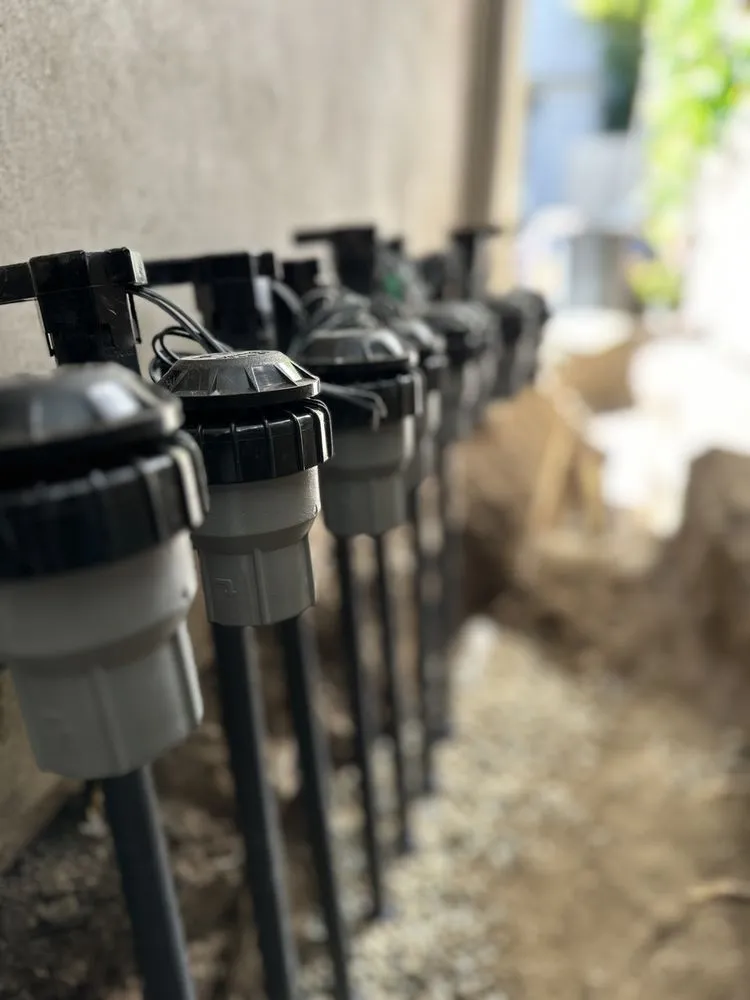 Professional landscape design in Los Angeles, CA by V&A Landscaping