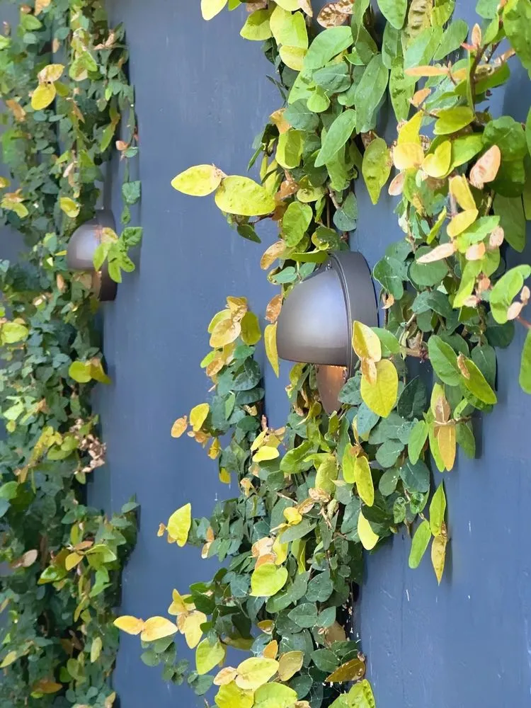 Trusted landscaping services in Los Angeles, CA by V&A Landscaping