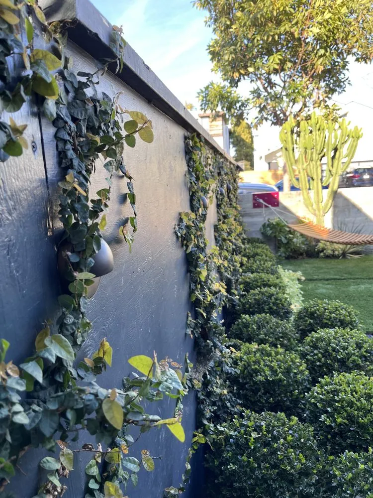 Custom yard cleanup service with custom design across Los Angeles, CA - V&A Landscaping