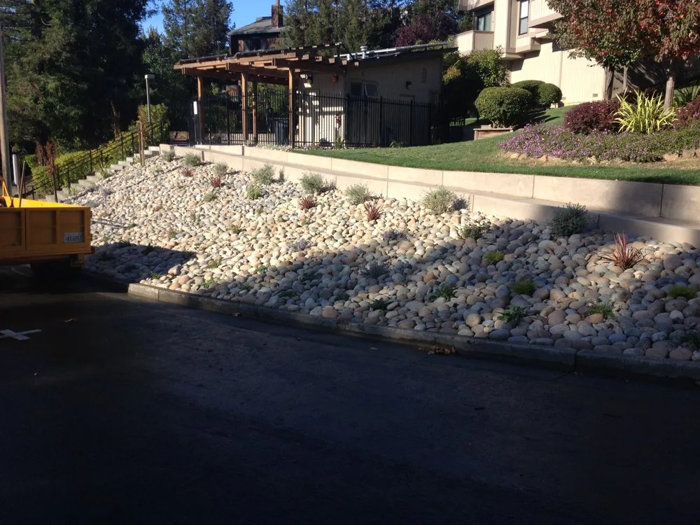 Affordable landscape installation in Novato, CA - Vaca Landscape and Construction