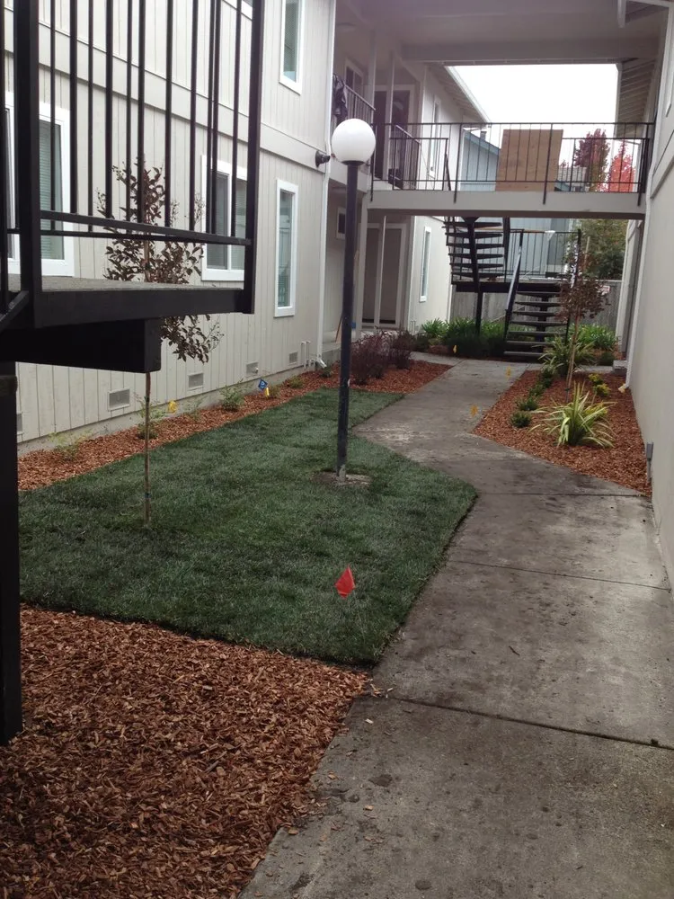 Professional landscape design in Novato, CA - Vaca Landscape and Construction