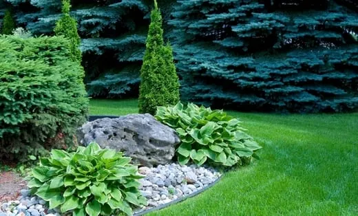 Expert landscape design with custom design in Moreno Valley, CA by Vaca Landscaping