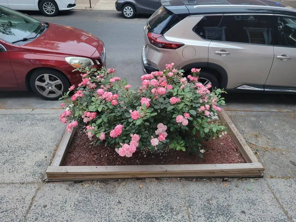 Professional yard maintenance experts serving Philadelphia, PA - VaceTime