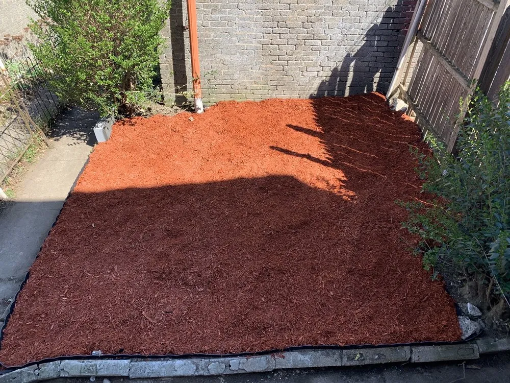 Local yard cleanup service in Philadelphia, PA - VaceTime