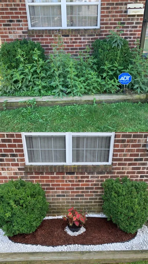 Local landscaping services for homes across Philadelphia, PA - VaceTime