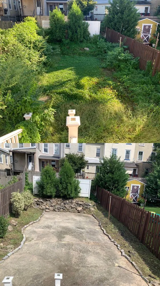 Affordable yard cleanup service near you in Philadelphia, PA by VaceTime