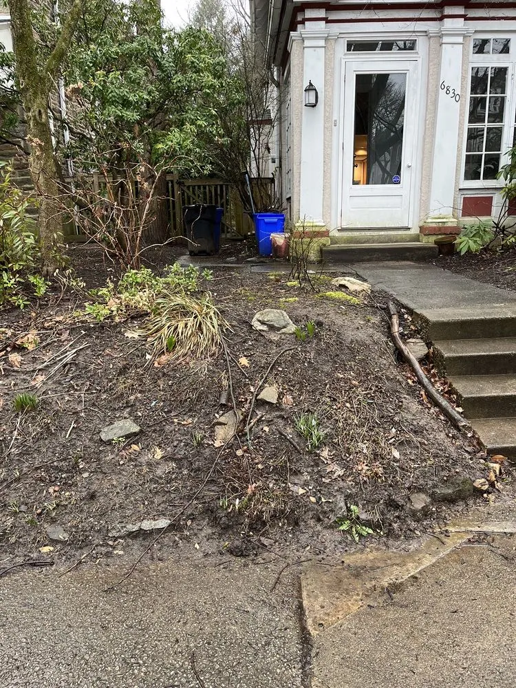 Expert landscape design in Philadelphia, PA by VaceTime