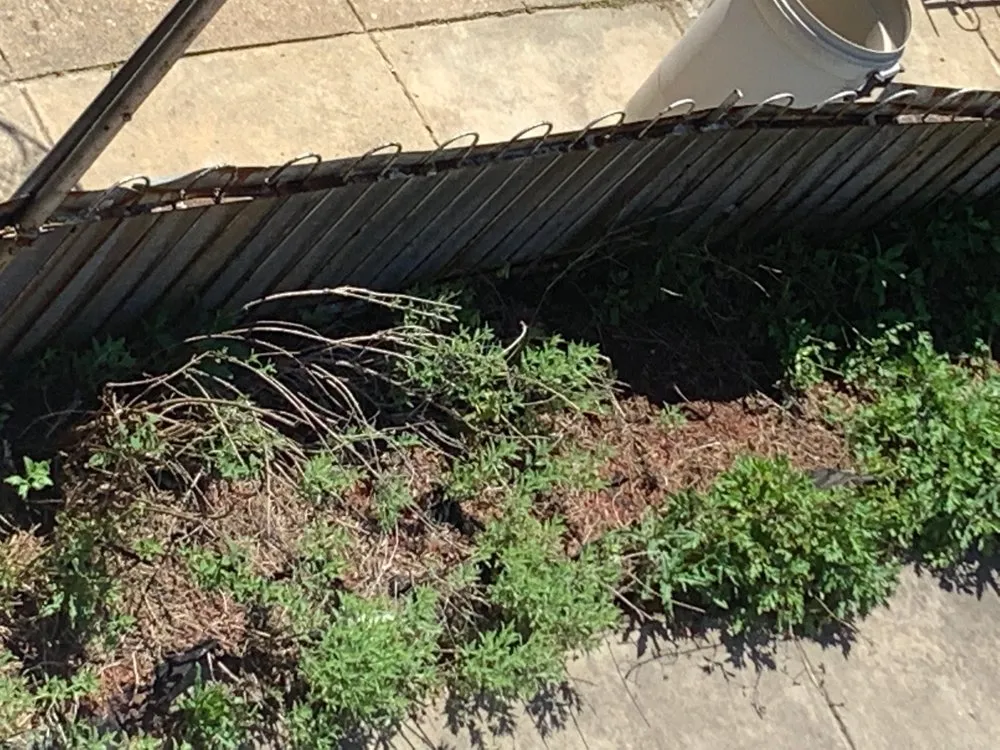 Trusted landscaping services in Philadelphia, PA by VaceTime