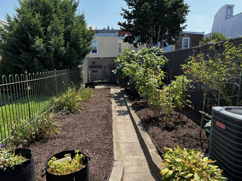 Local yard cleanup service for beautiful yards across Philadelphia, PA - VaceTime